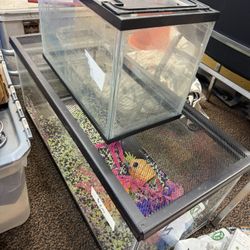 Two Fish Tanks