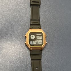 Casio Royal AE1200WH Mod Watch 