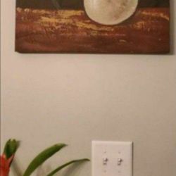 Two Beautiful Pictures for Dinning Room or a Bathroom