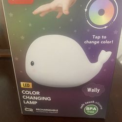 Color Changing Lamp