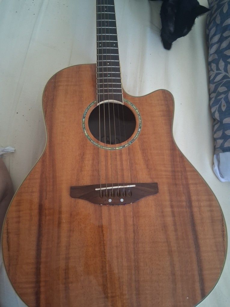Ovation Guitar
