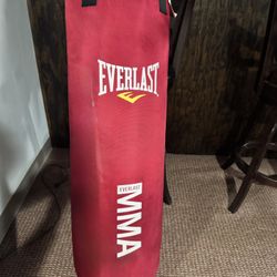 Everlast Punching Bag