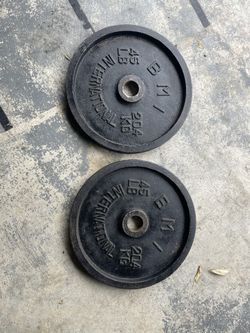 Two 45lb Plates