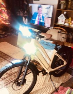 Stromer ST2pinon