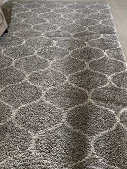 Safavieh Hudson Shag Area Rug 10x14’