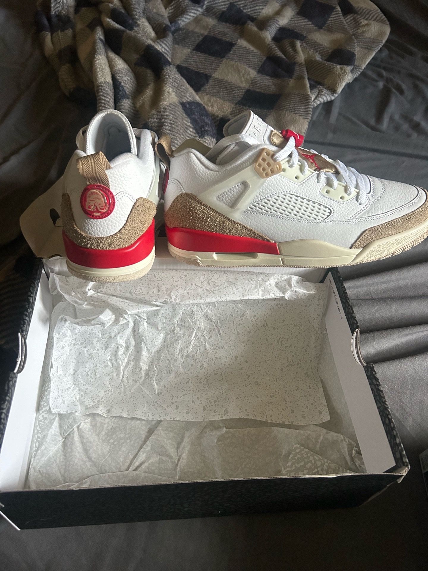 Jordan Spizike Low