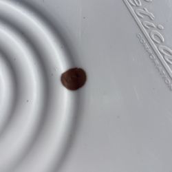 Vendo Esta Pintura mitad De Presio No La Necesito