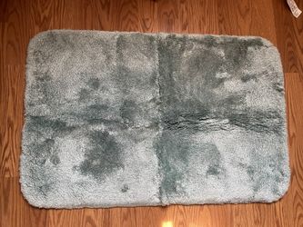 Costco Bathroom Floor Mat (Teal/Green)