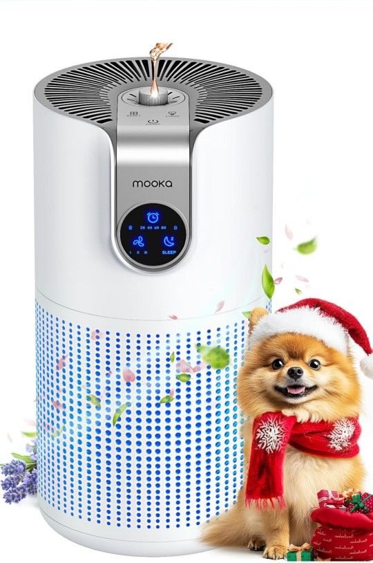 Air Purifiers Home