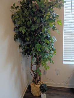 6ft artifical tree no basket