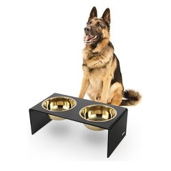 The Licker Store Keaton 7.5” Medium/Large Modern Lucite Elevated Pet Feeder