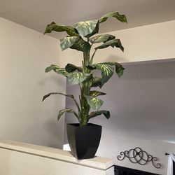 Fake Beautiful Plant 