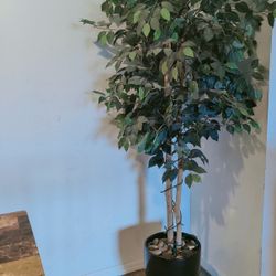 6ft Artificial Faux Ficus Tree Plant with Planter Vase