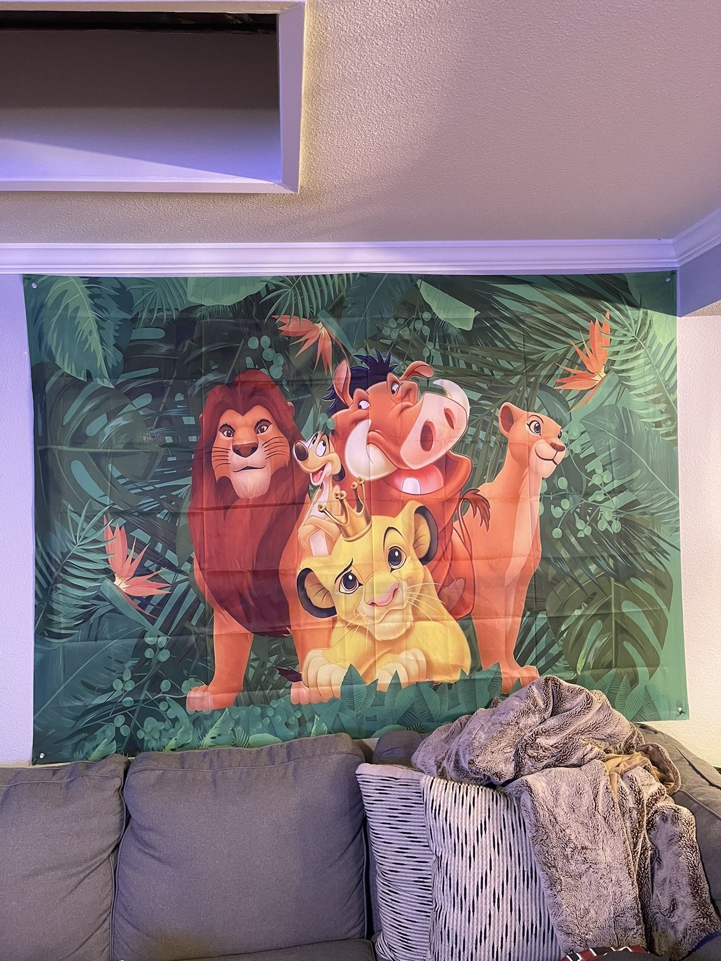 Lion King Party Decorations