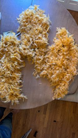 Gold Boas Halloween Costume