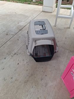 Dog Cage