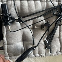 Microphone
