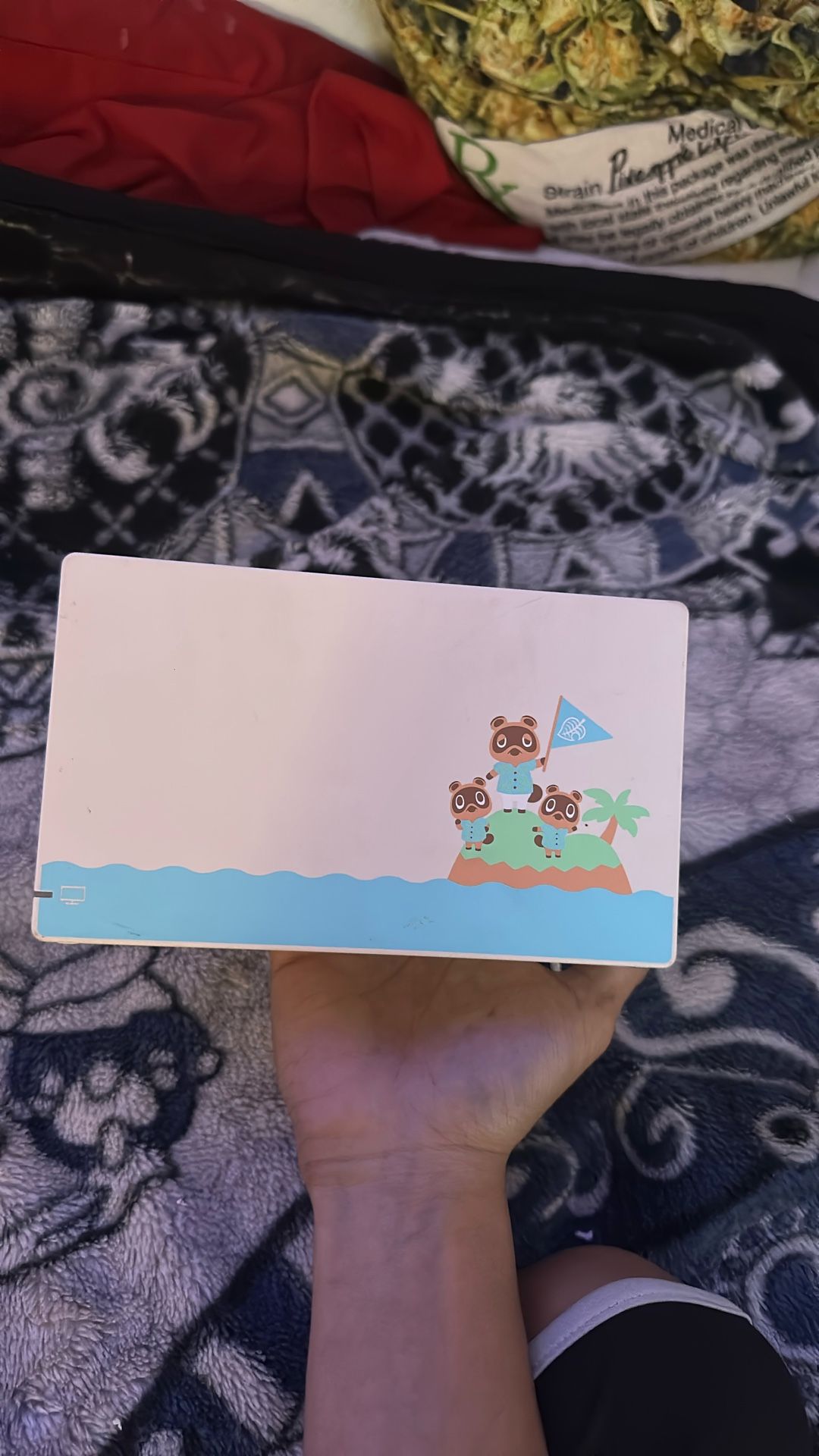 Nintendo Dock set