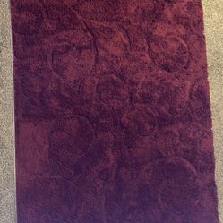 5x7 Shag Rug