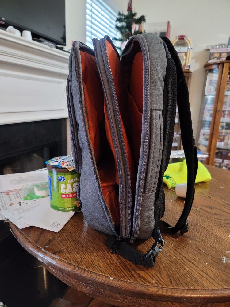 Ebags Backpack Or Laptop Case