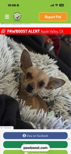 Please help find her missing since sunday