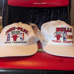 Vintage 90s New Chicago Bulls Sports Specialties Championship Hat