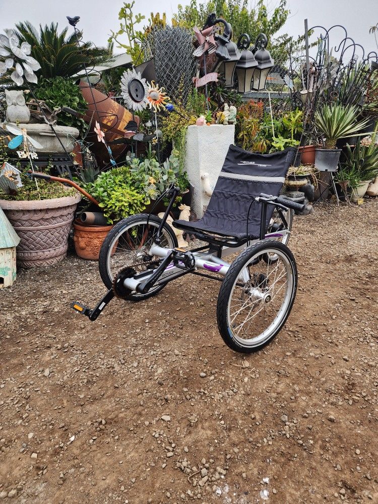 TerraTrike Rover 8 Speed Internal