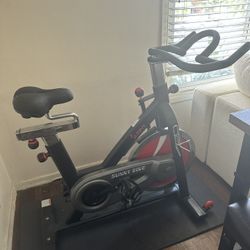 Sunny Exercise Bike