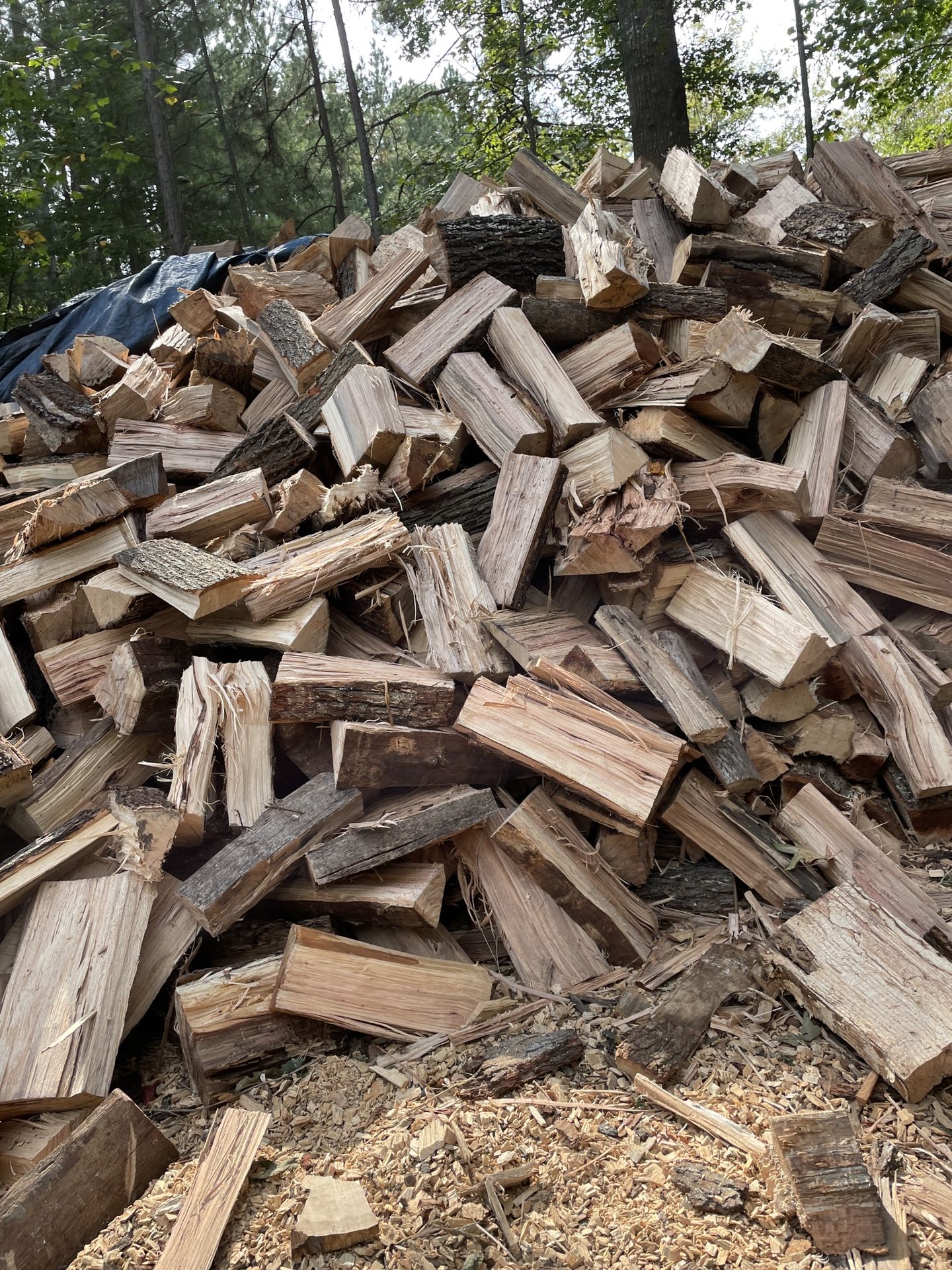 Seasoned Firewood