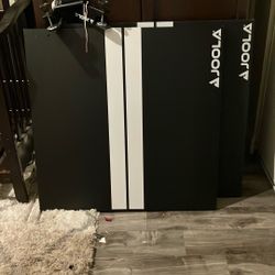 Ping Pong Table 