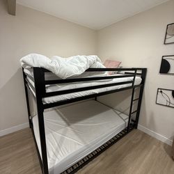 Full beds