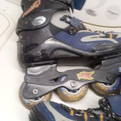 In Line Skates