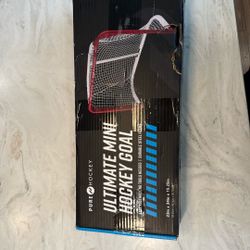 Ultimate Mini Hockey Goal 
