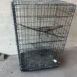 Bird Cage 