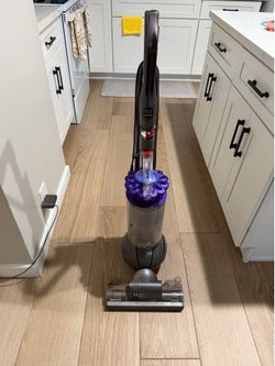 Dyson ball animal