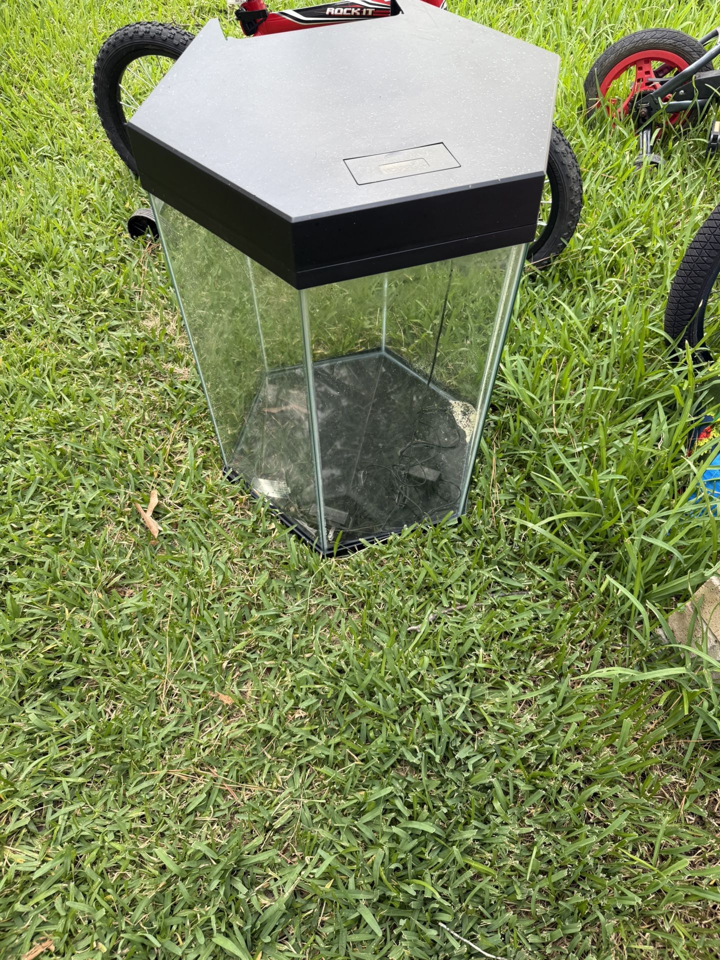 Fish Tank