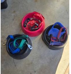 Dog Bowls And Dog Collars And Leashes