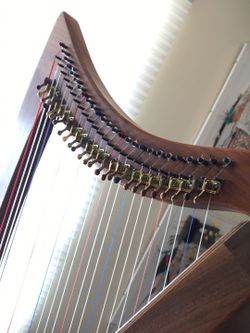 Dusty 2024 strings fh26