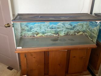 Reptile tank and stand
