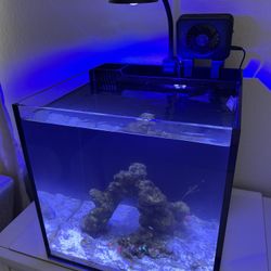 Innovative Marine Nuvo 15 