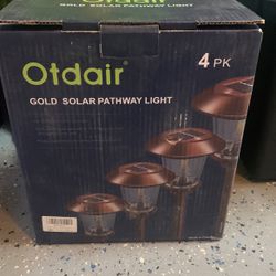 Solar Pathway Light