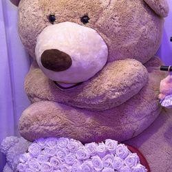 Giant Costco Teddy Bear-Like new