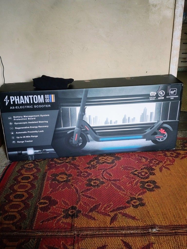 Electric Scooter