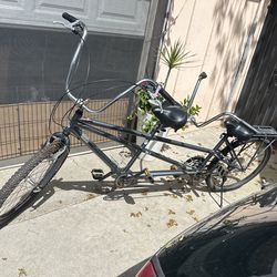 Rayleigh Companion Tandem 150