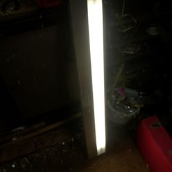 Fluorescent Light 