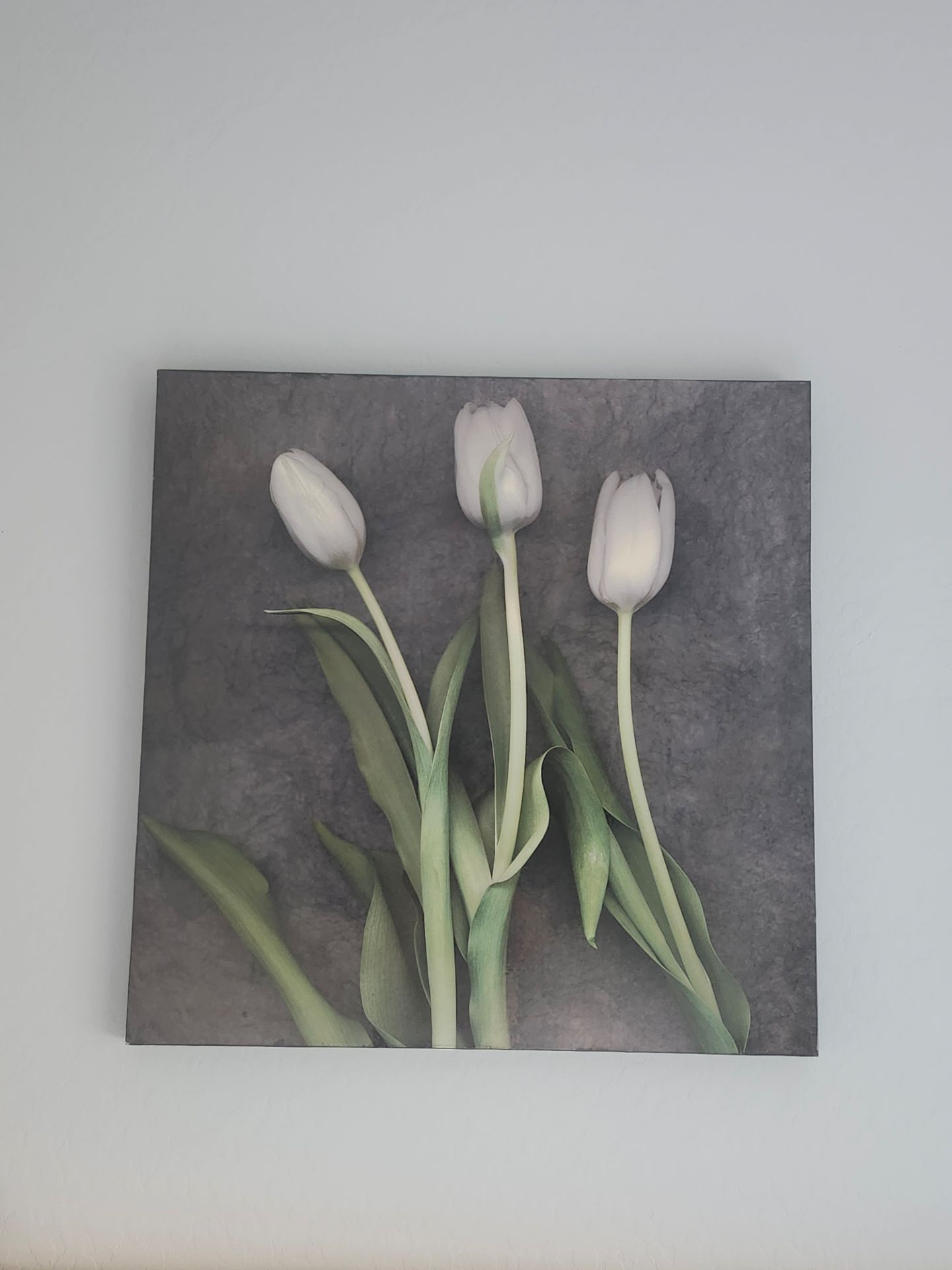 Tulip home decor flowers