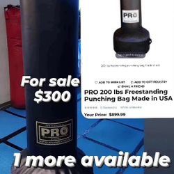 Stand Up Punching Bag 