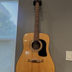 Washburn D-10 Guitar