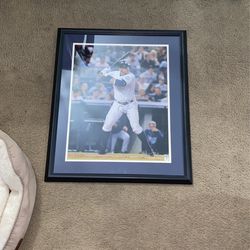 Alex Rodriguez Frames & Autographed