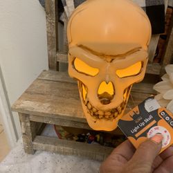 Halloween Skull 💀 Lights Up 